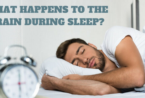 What Happens to the Brain During Sleep?