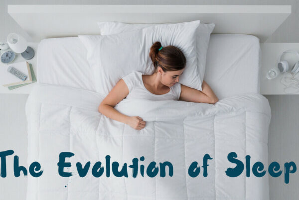 The Evolution of Sleep
