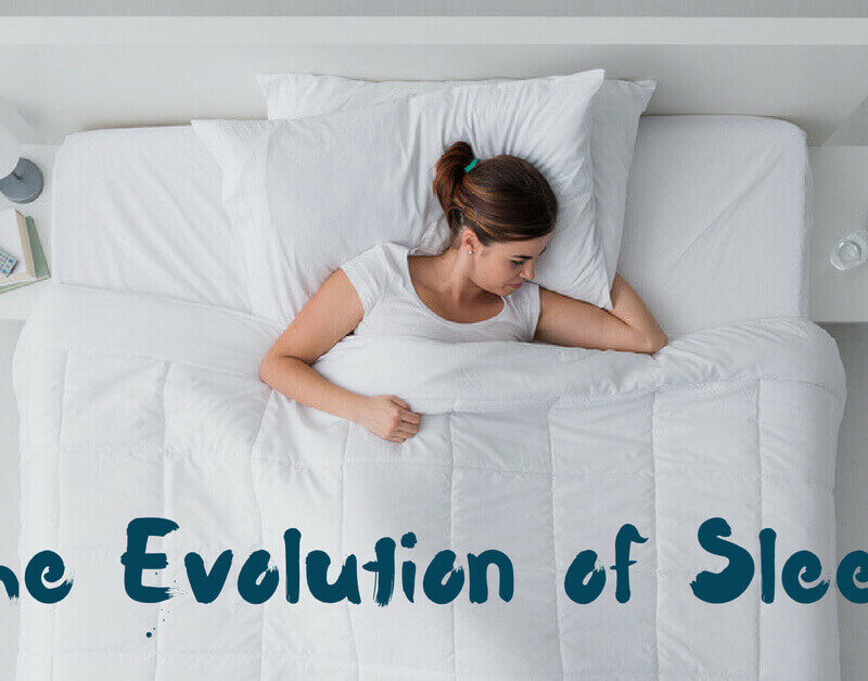 The Evolution of Sleep