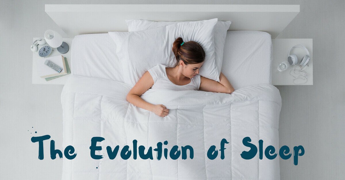 The Evolution of Sleep