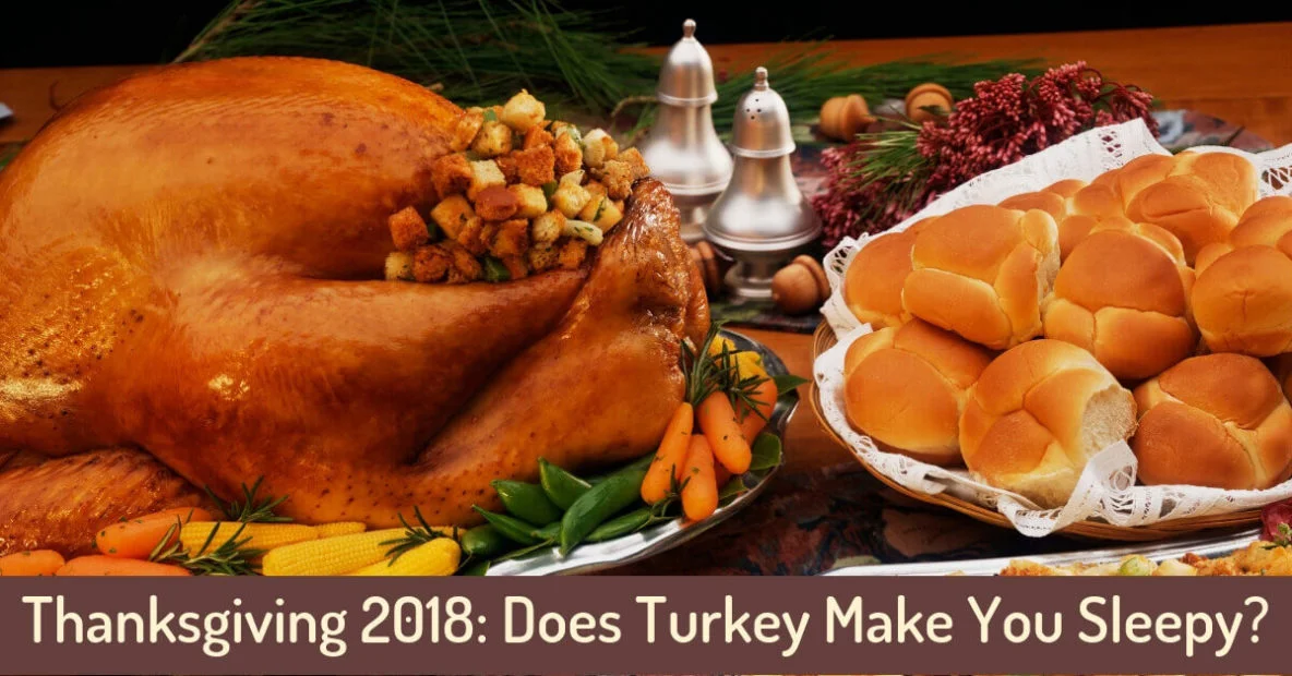 Thanksgiving 2018: Does Turkey Make You Sleepy?