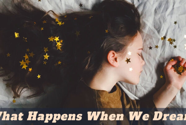 What Happens When We Dream?