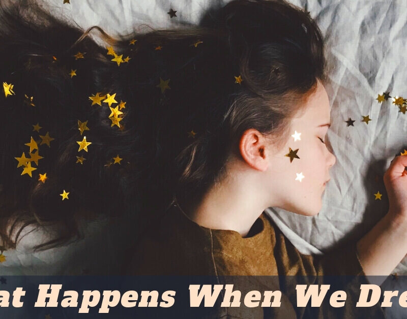 What Happens When We Dream?