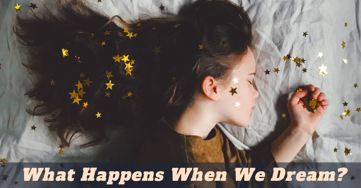 What Happens When We Dream?