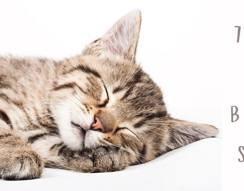 7 Tips for Better Sleep